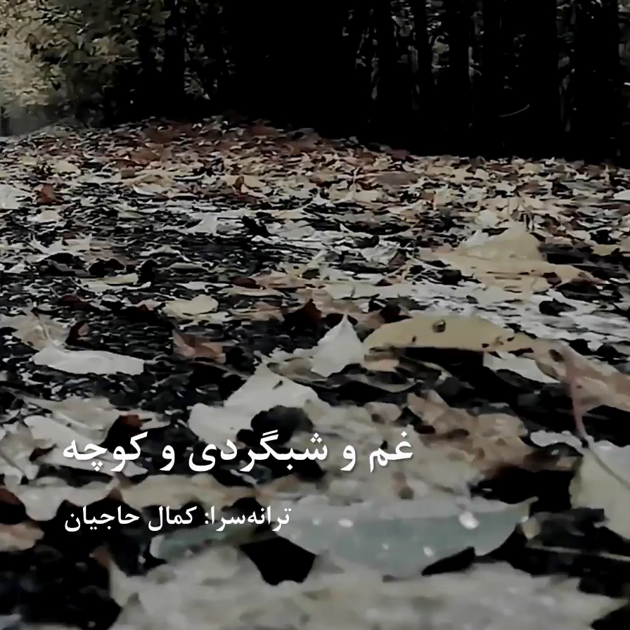 غم و شبگردی و کوچه